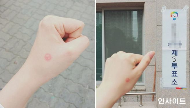 사전투표란