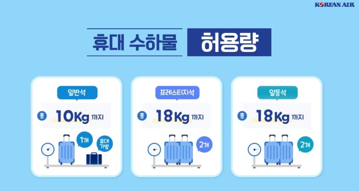 수하물 규정