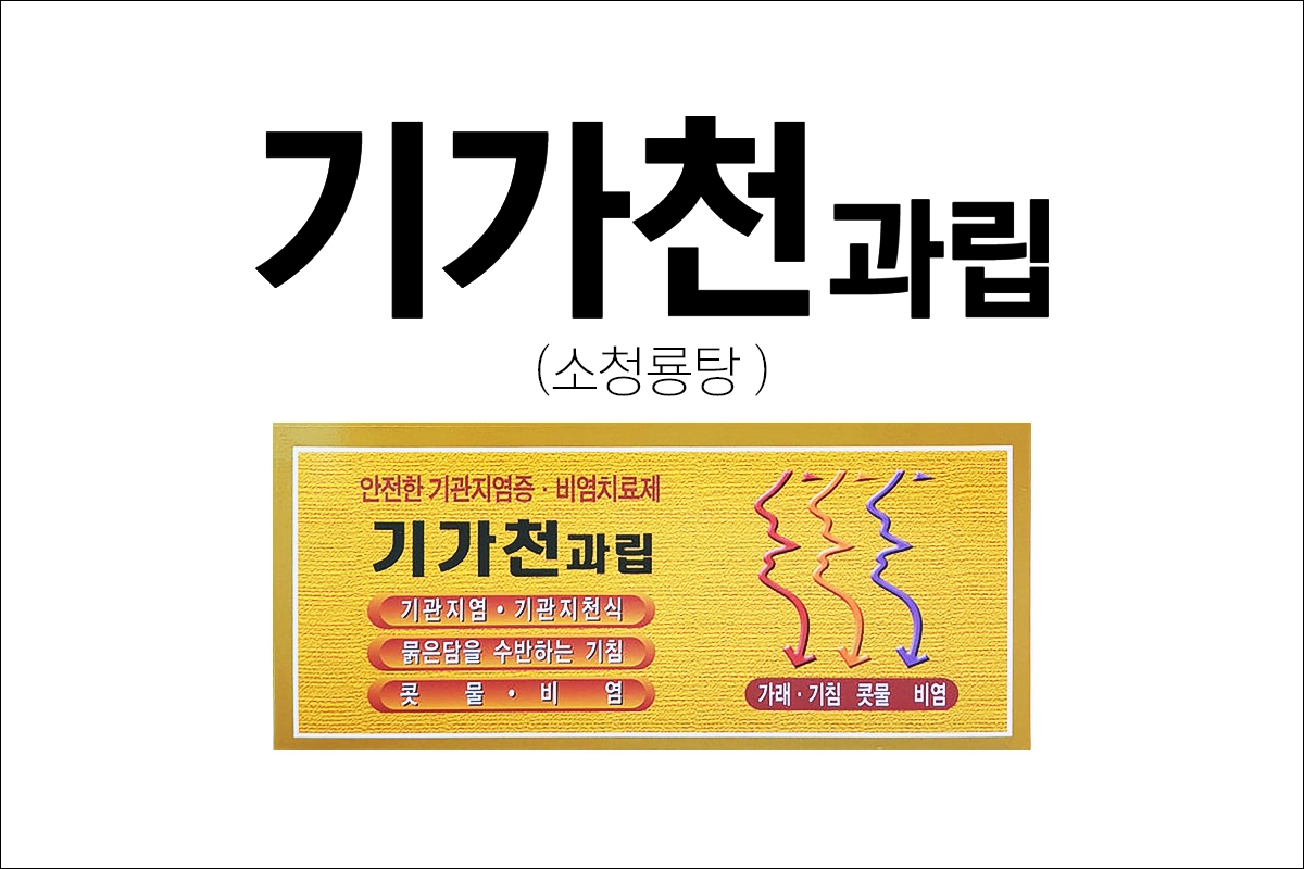 기가천과립 소청룡탕 효능 효과 부작용 진해거담제 기침 가래