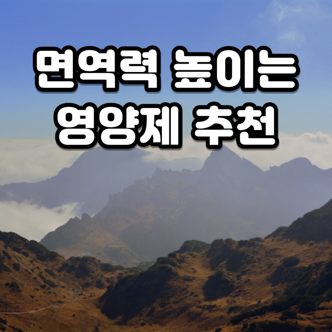 면역력 높이는 영양제 추천