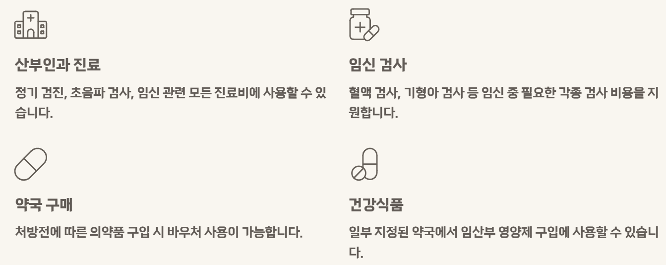 국민행복카드 임신 바우처