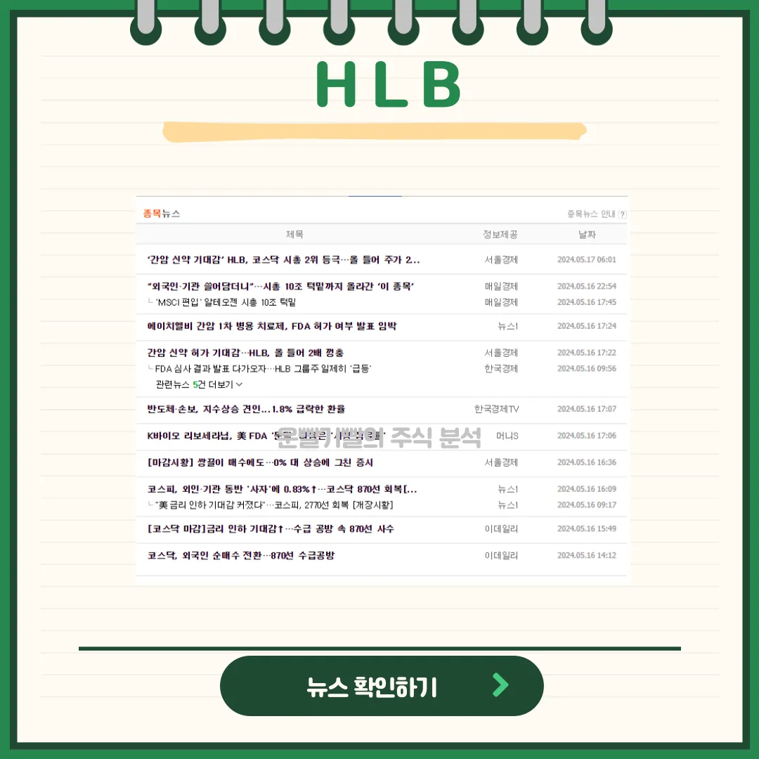 HLB뉴스