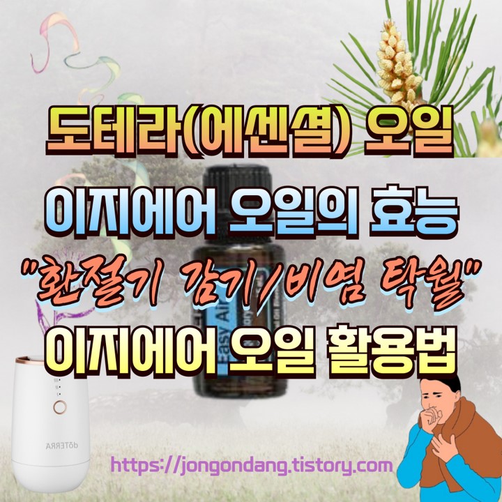 이지에어 오일 효능 및 활용법, 환절기 감기 및 비염에 탁월 이미지