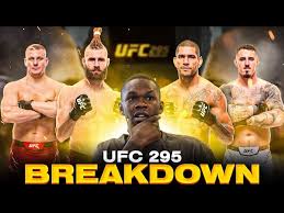 UFC295 경기결과 하이라이트 강경호, 페레이라, 프로하츠카, 톰아스피날