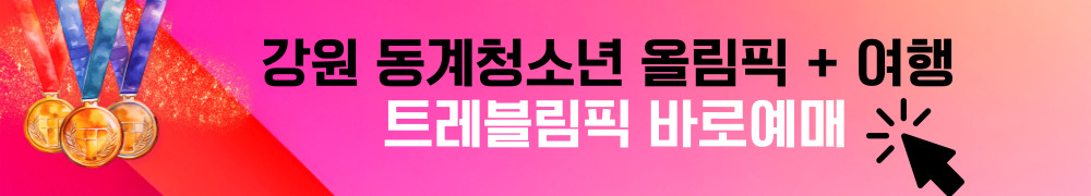 2024 강원 동계청소년 올림픽