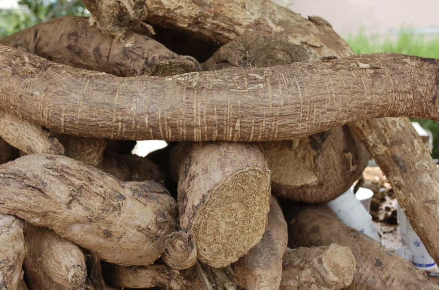 칡 효능 부작용