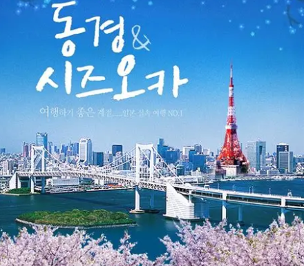 일본 봄꽃여행 꿈꾸기 이미지