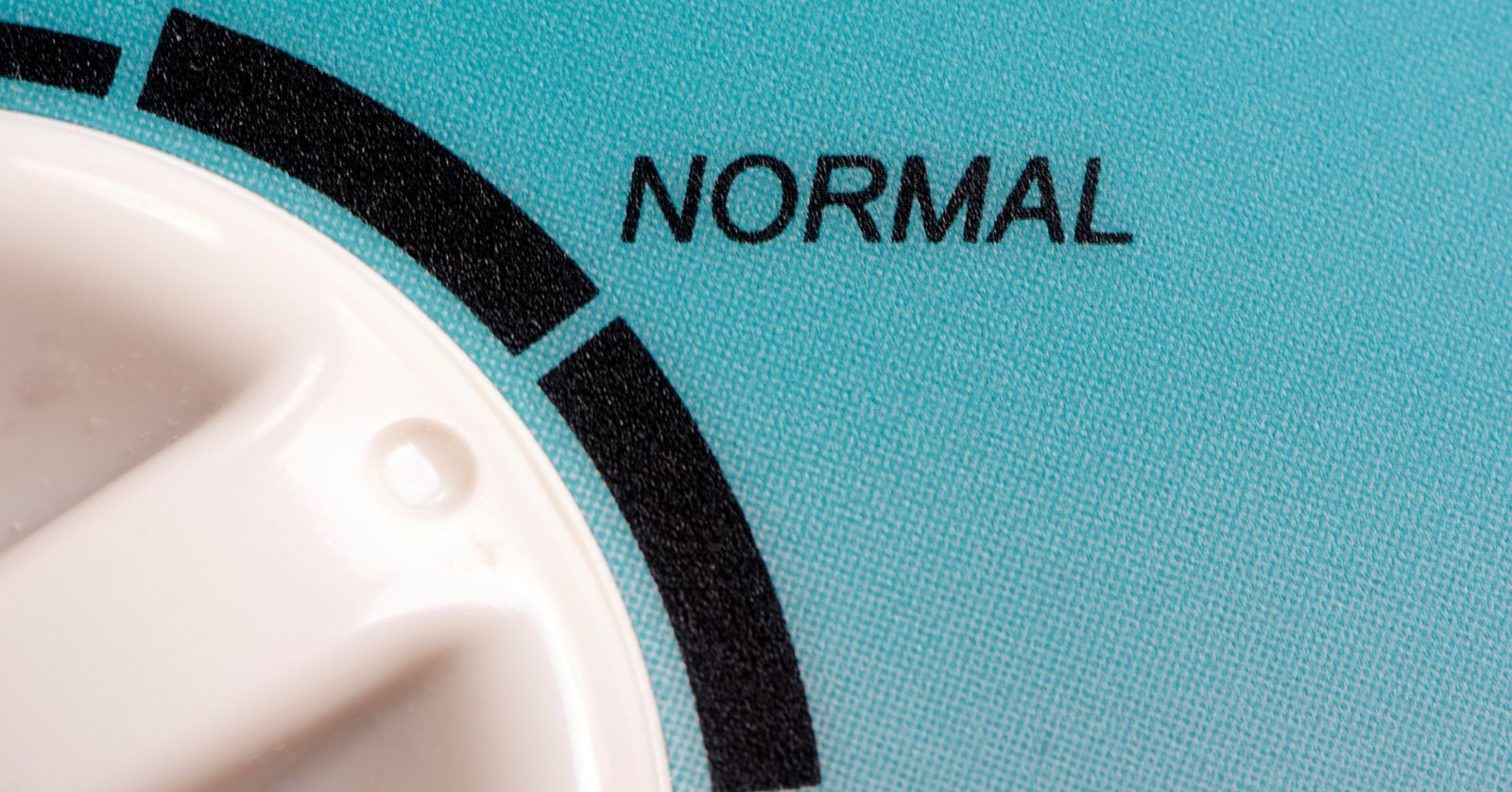 체지방률정상범위