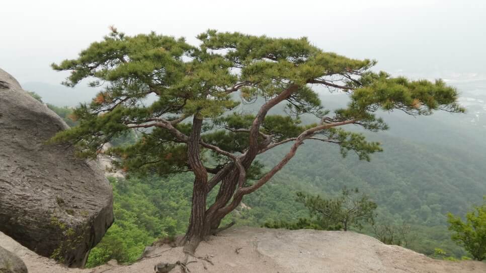 100대 명산 등산하기 마흔한번째 서울 수락산 도심 속에서 만나는 기막힌 암릉 조망의 명산