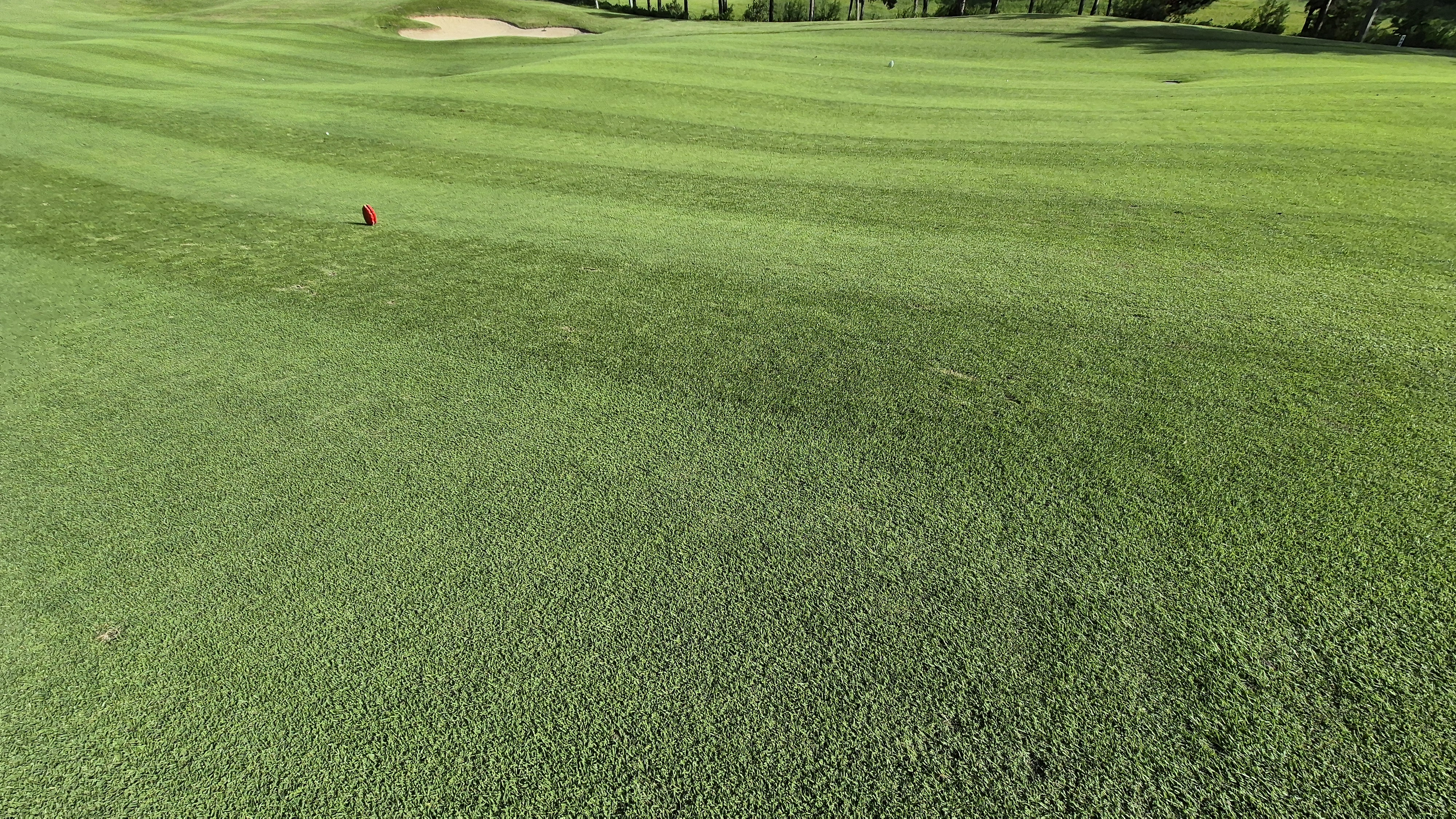 오크힐스cc 코스관리 상태