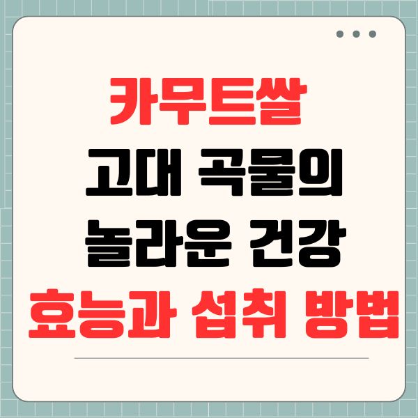 카무트쌀 고대 곡물의 놀라운 건강 효능과 섭취 방법
