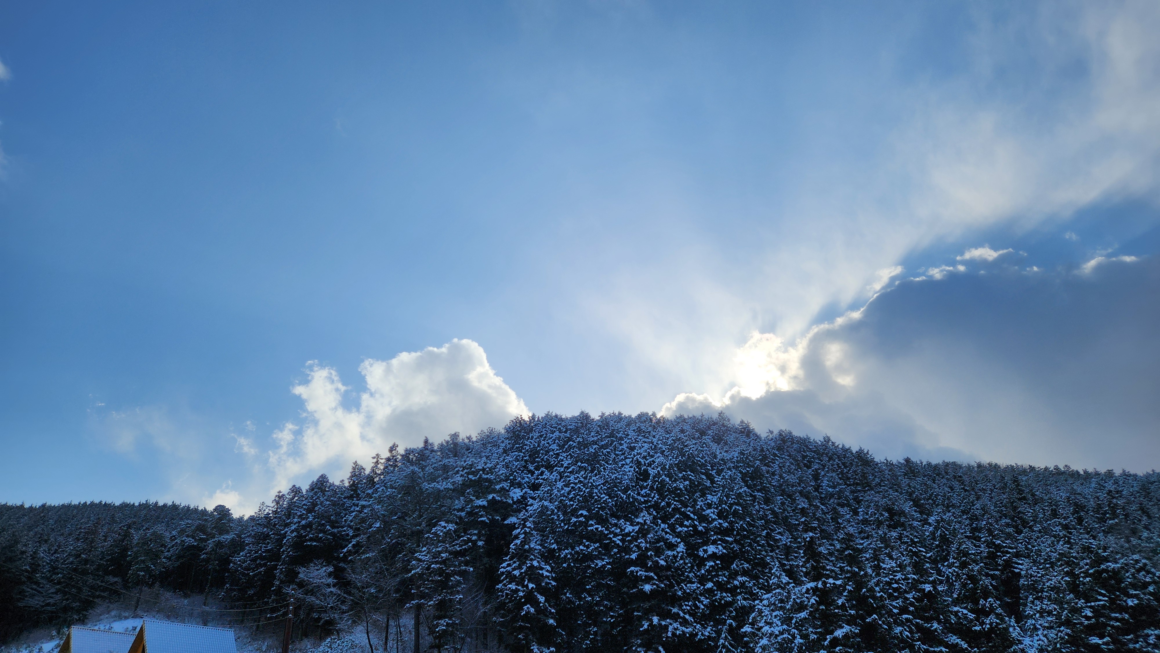 장성 치유의숲에서 바라본 하늘
