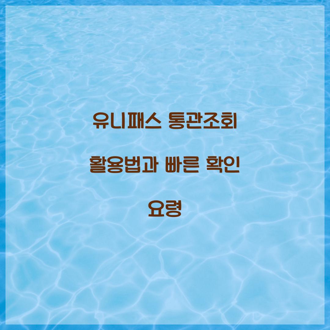 유니패스 통관조회