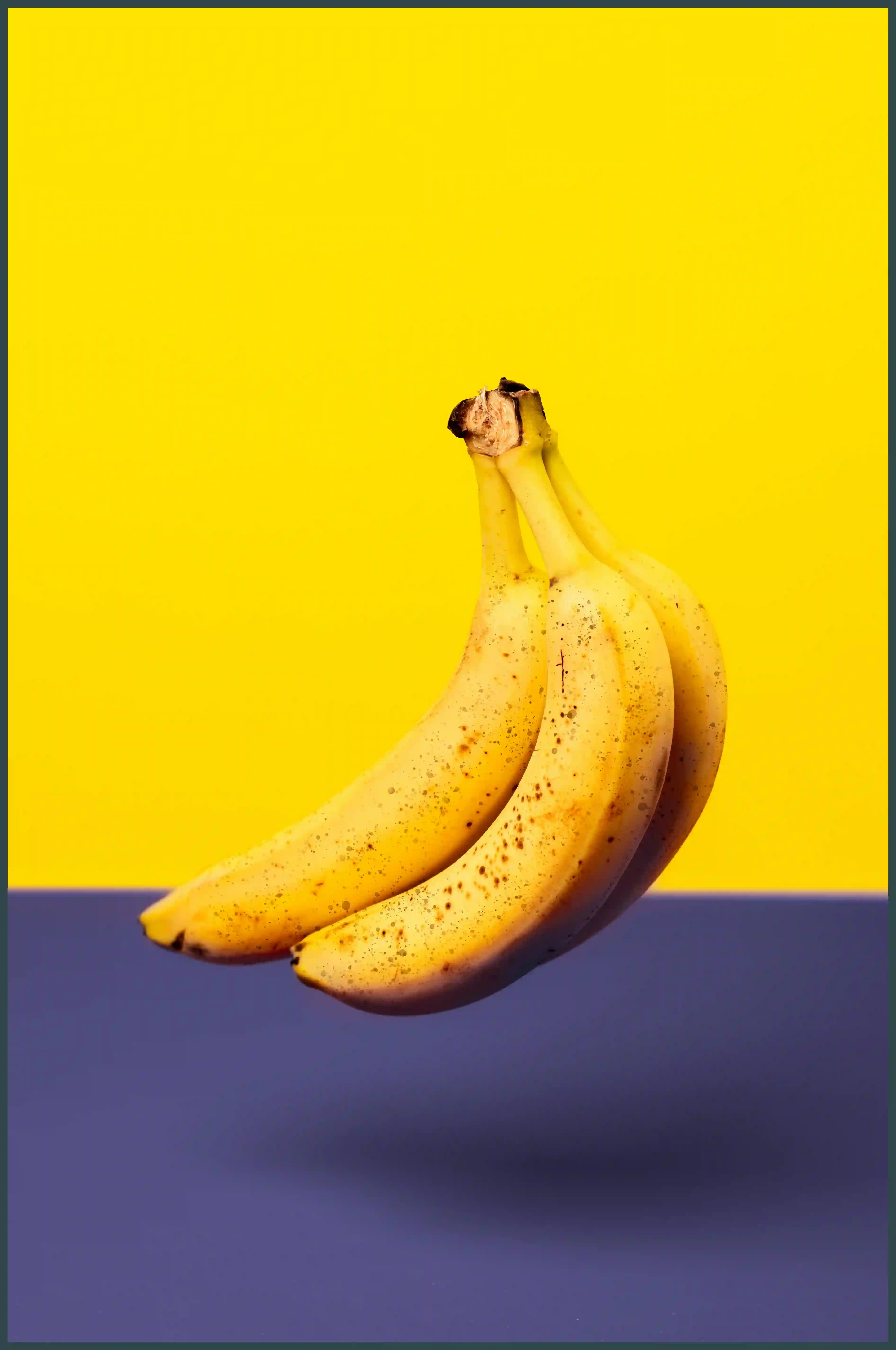 강아지 바나나 줘도 되나요? 급여 방법과 주의사항 