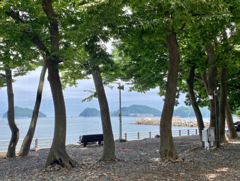 남해군 초전마을 캠핑장 소개