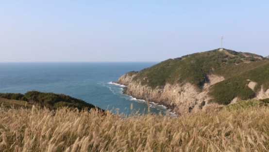 인천/명품/단풍/명소