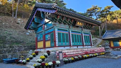 서산 흥주사 : 900년 은행나무의 전설과 백화산의 정취를 품은 고찰