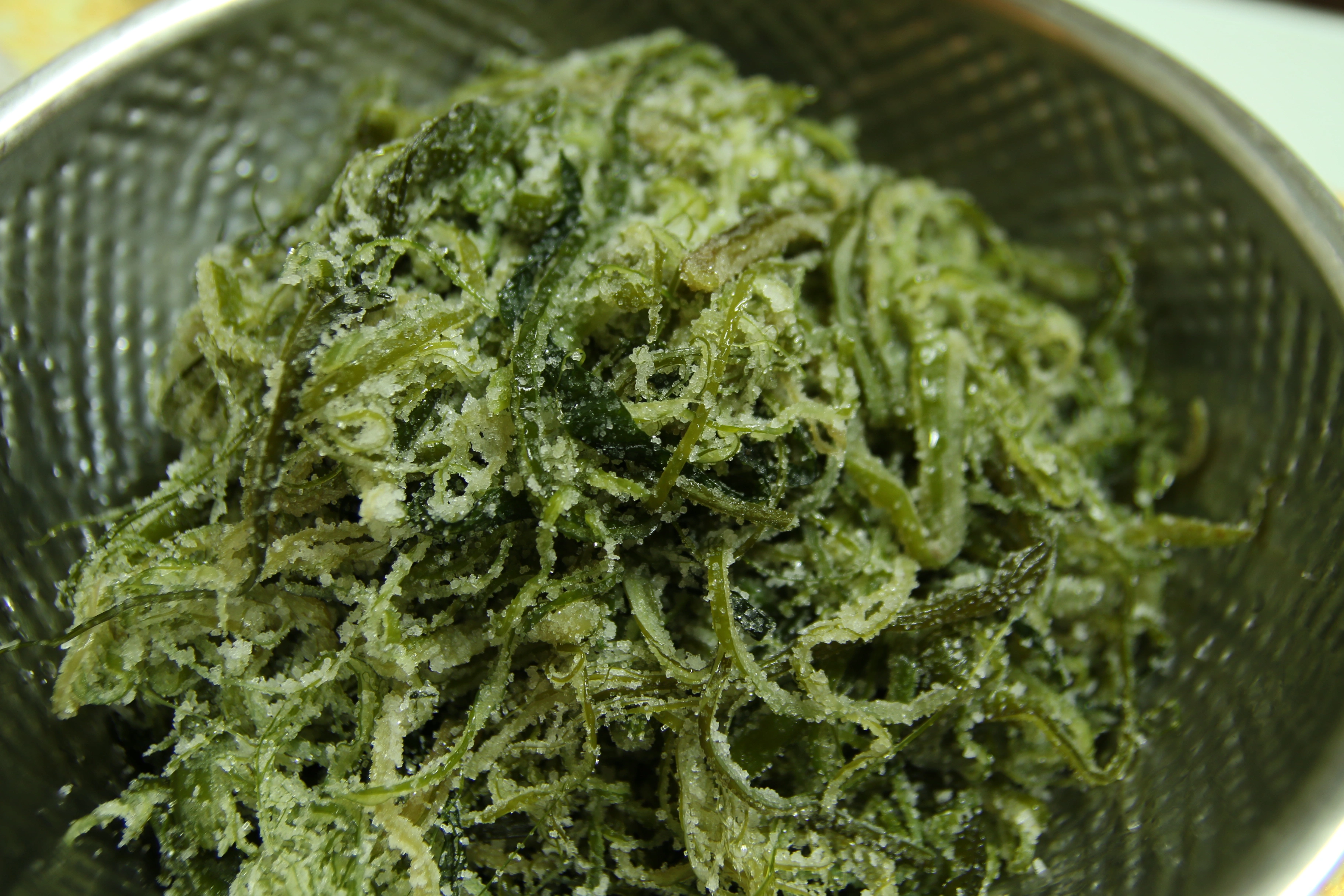 미역줄거리 미역줄기