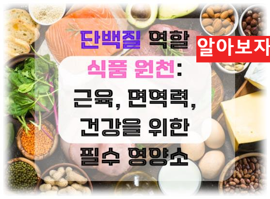 단백질의 역할과 식품 원천: 근육, 면역력, 건강을 위한 필수 영양소