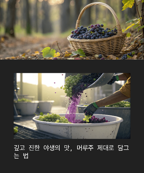 깊고 진한 야생의 맛, 머루주 제대로 담그는 법