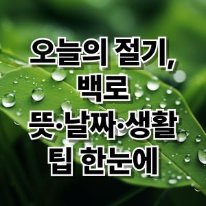 2025 백로 절기 뜻