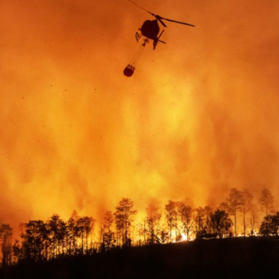 산불 현황 실시간 확인 방법 CCTV로 경로까지 한눈에4