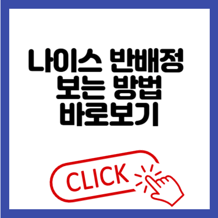 나이스 반배정 보는 법