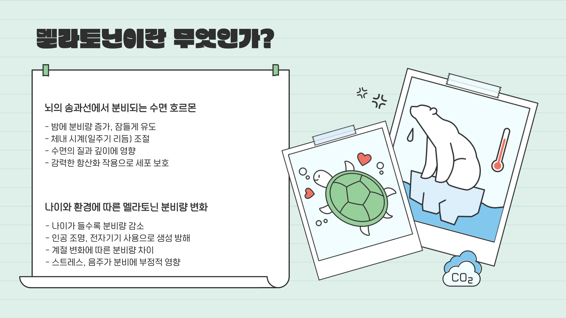 멜라토닌 많은 음식