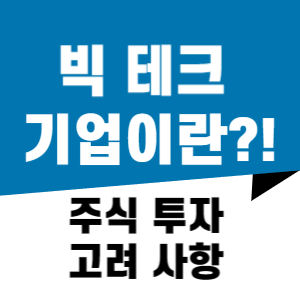 빅테크 (BIG TECH) 뜻