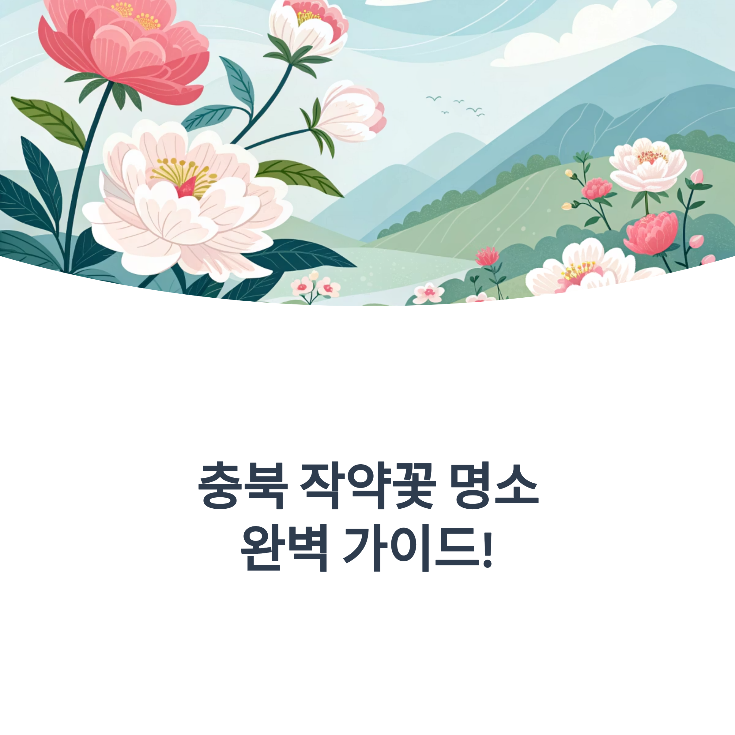충북 작약 명소 추천