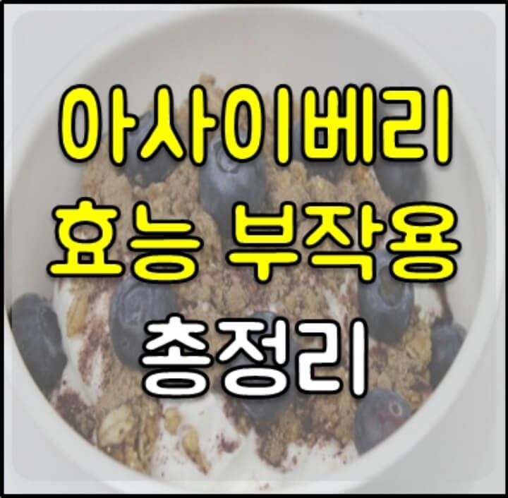 아사이베리 효능 썸네일