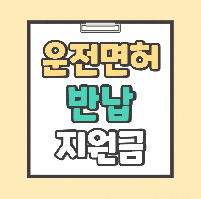 대구시 고령자 운전면허 반납
