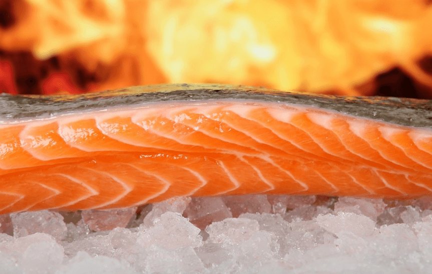 중성 지방 낮추는 방법으로 도움 되는 연어 고기가 놓여 있다