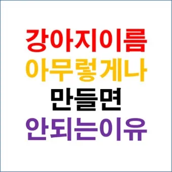 반려견 이름 작명 독특한 강아지 이름 제안_8