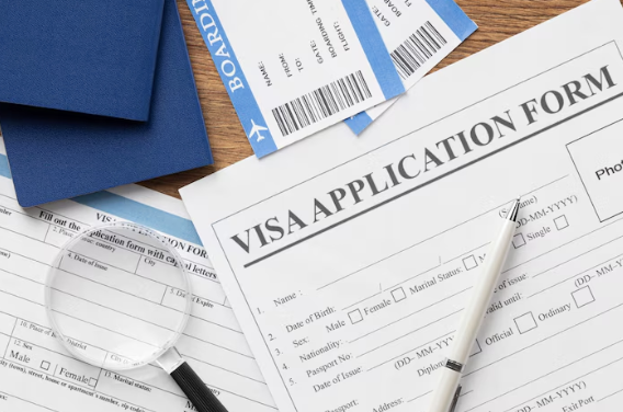 노마드 비자와 보험, 꼭 알아야 할 기초 정보