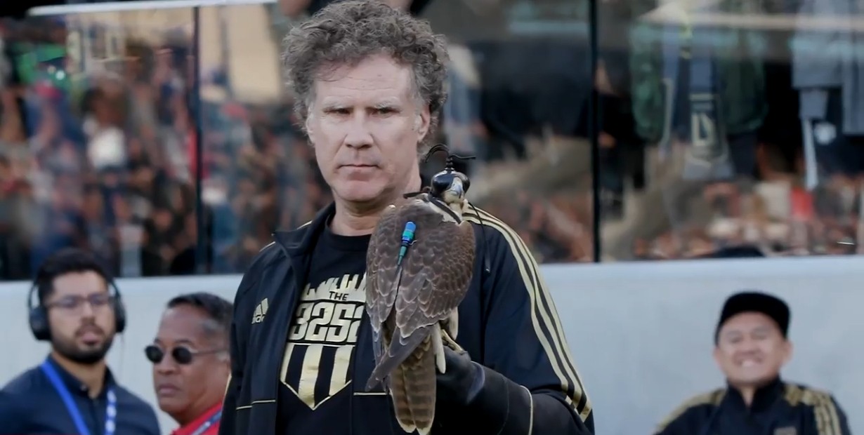 Honorary Falconer