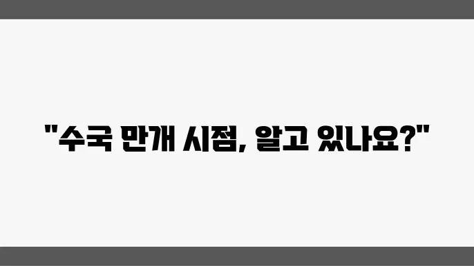 언제 만개할까? 수국이 피는 시기와 관리 요령
