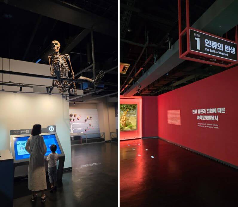 국립중앙과학관 자연사관 &amp; 인류관