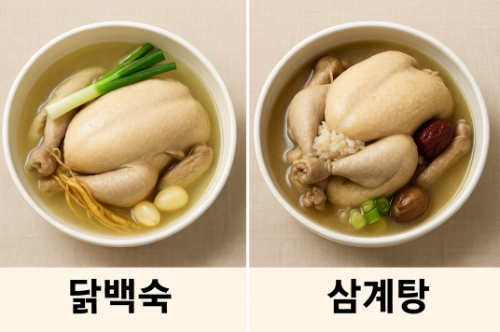 닭백숙은 맑고 담백한 국물, 삼계탕은 찹쌀과 대추가 들어간 진한 국물이 특징인 한국 전통 보양식 비교