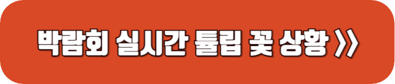 코리아-플라워-박람회-현장-사진-보기