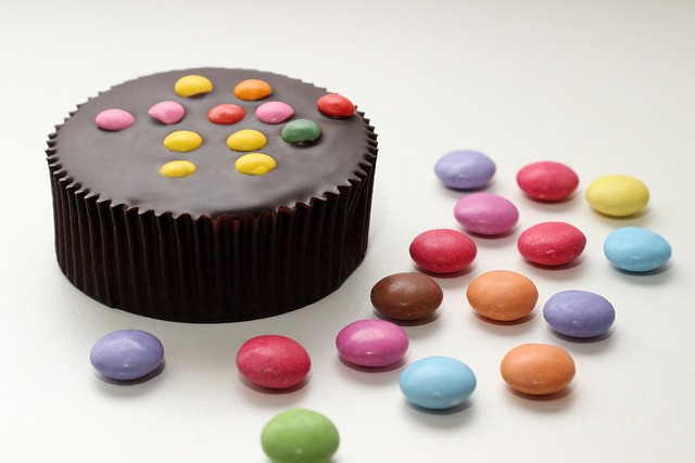 강아지가 위험한 10가지 음식