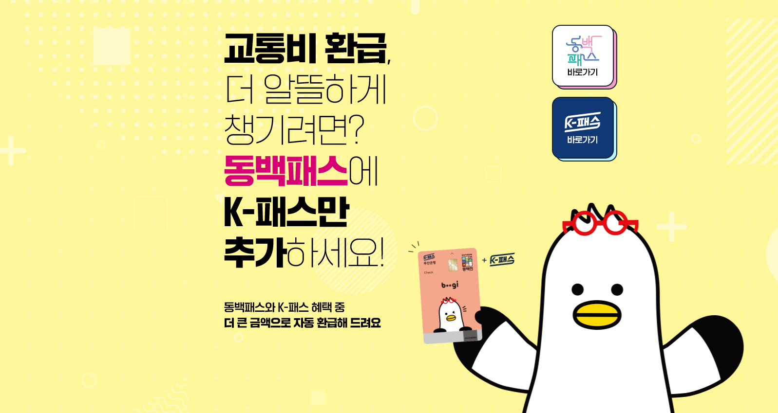 동백패스 관련 홍보이미지