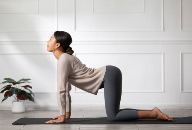 체형 교정을 위한 바른 자세 운동 루틴 &ndash; 일상 속 바른 몸 만들기