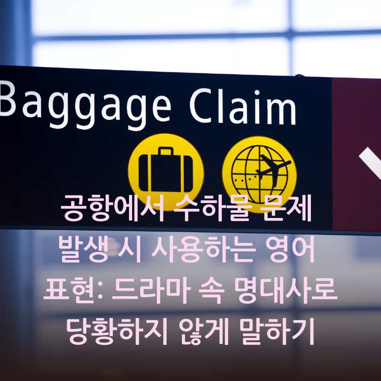 공항-수화물-찾는-곳