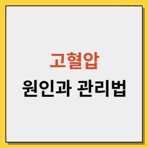 고혈압의 원인과 관리법