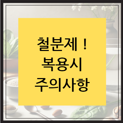 철분제 복용시 주의사항이라고 써진 문구