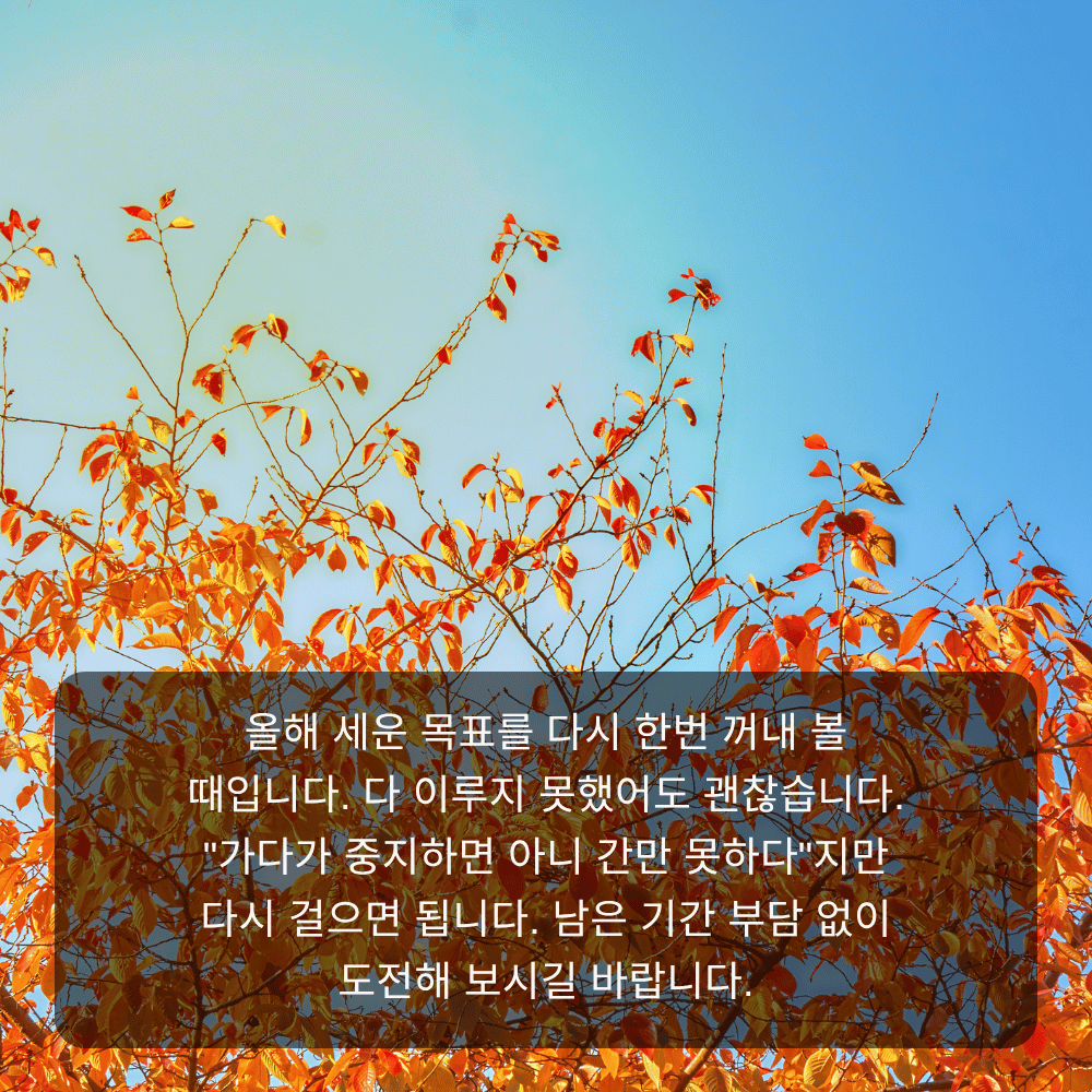 11월 인사말 이미지 16 - 가다가 중지하면 아니 간만 못하다, 목표 도전 문구