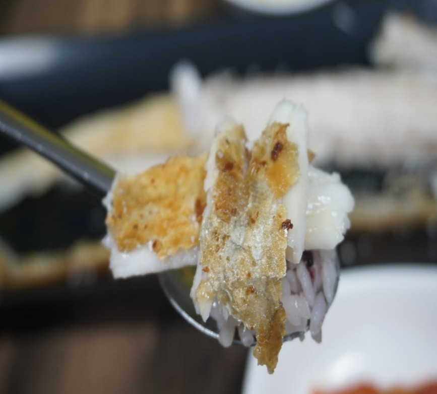 블로그 모슬포 맛집 검색