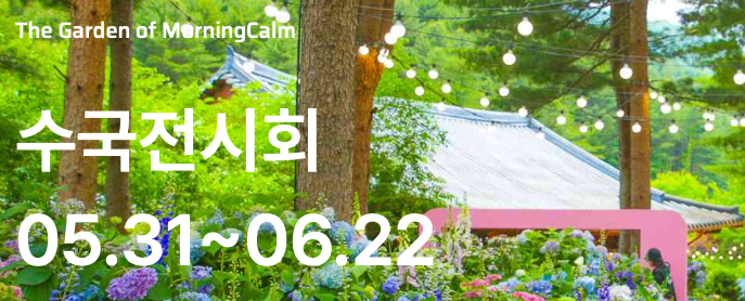 아침고요수목원 수국전시회 풍경