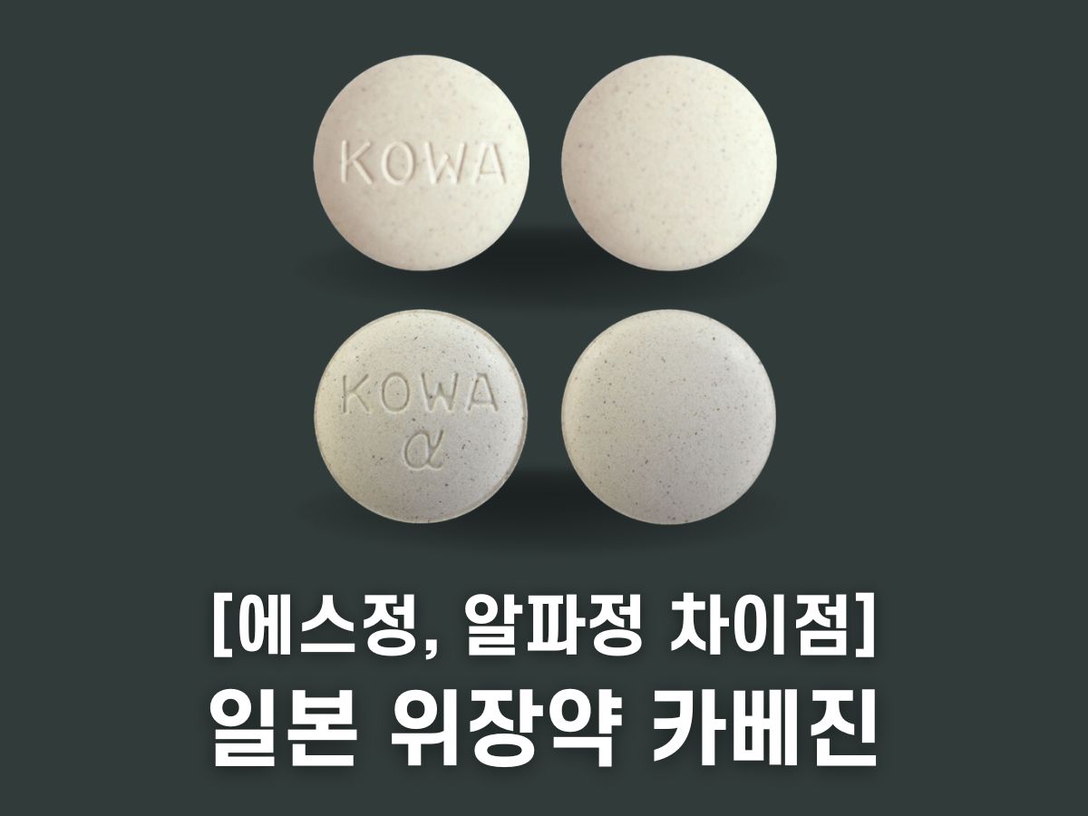 카베진 에스정 알파정 성분 차이